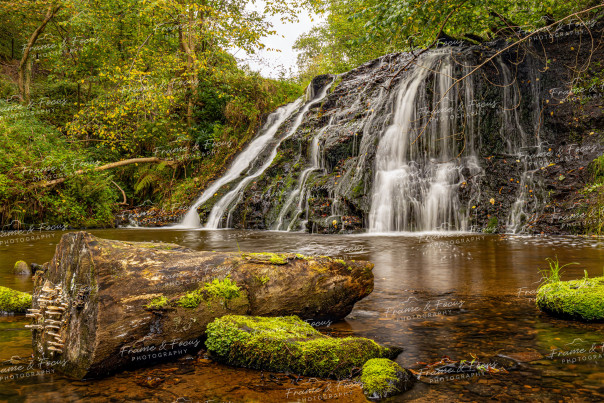 To buy a print or any of the below please click on the images